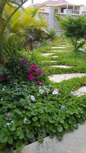 תכנון ועיצוב גינות